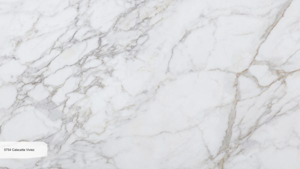 5754 Calacatta Viviez
