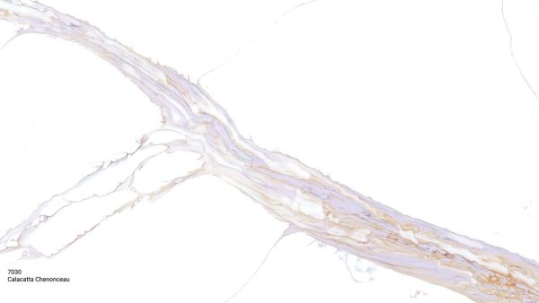 7030 Calacatta Chenonceau