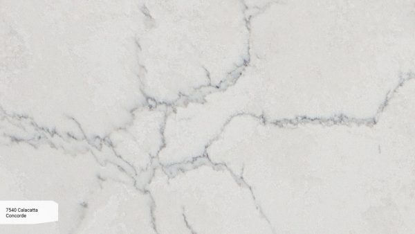 7540 Calacatta Concorde