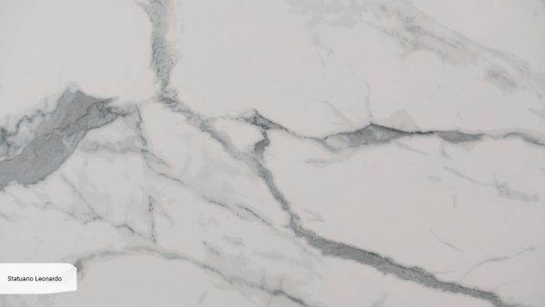 Statuario Leonardo
